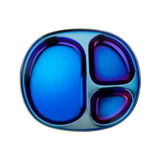 Ahimsa Stainless Steel Kids Plates - Divided Toddler Plates, Pediatrician Designed, Non Toxic Toddler Plate, BPA Free & Dishwasher Safe (Blue Single)