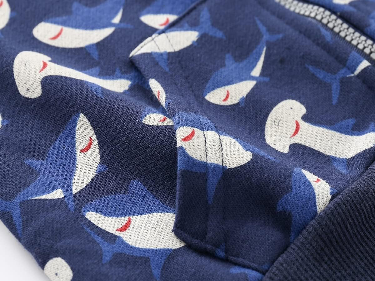 Toddler Boys Full Zip Dinosaur Hoodies Comfortable Sweatshirt