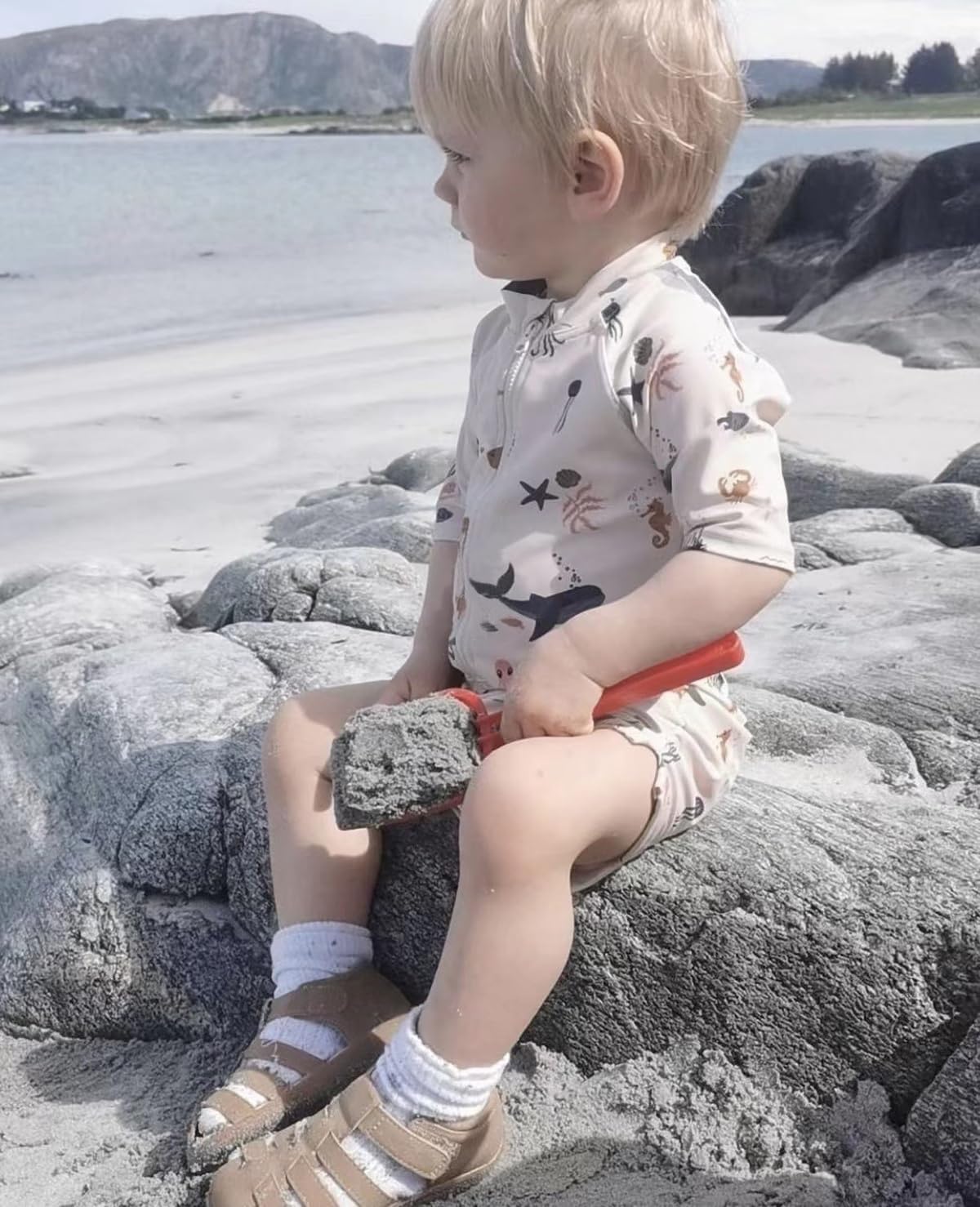 Boys One Piece Swimsuit Whale Dolphin Bathing Suit Zipper Rash Guard Kid Short Sleeve Swimwear Shark Beach Wear UPF50+