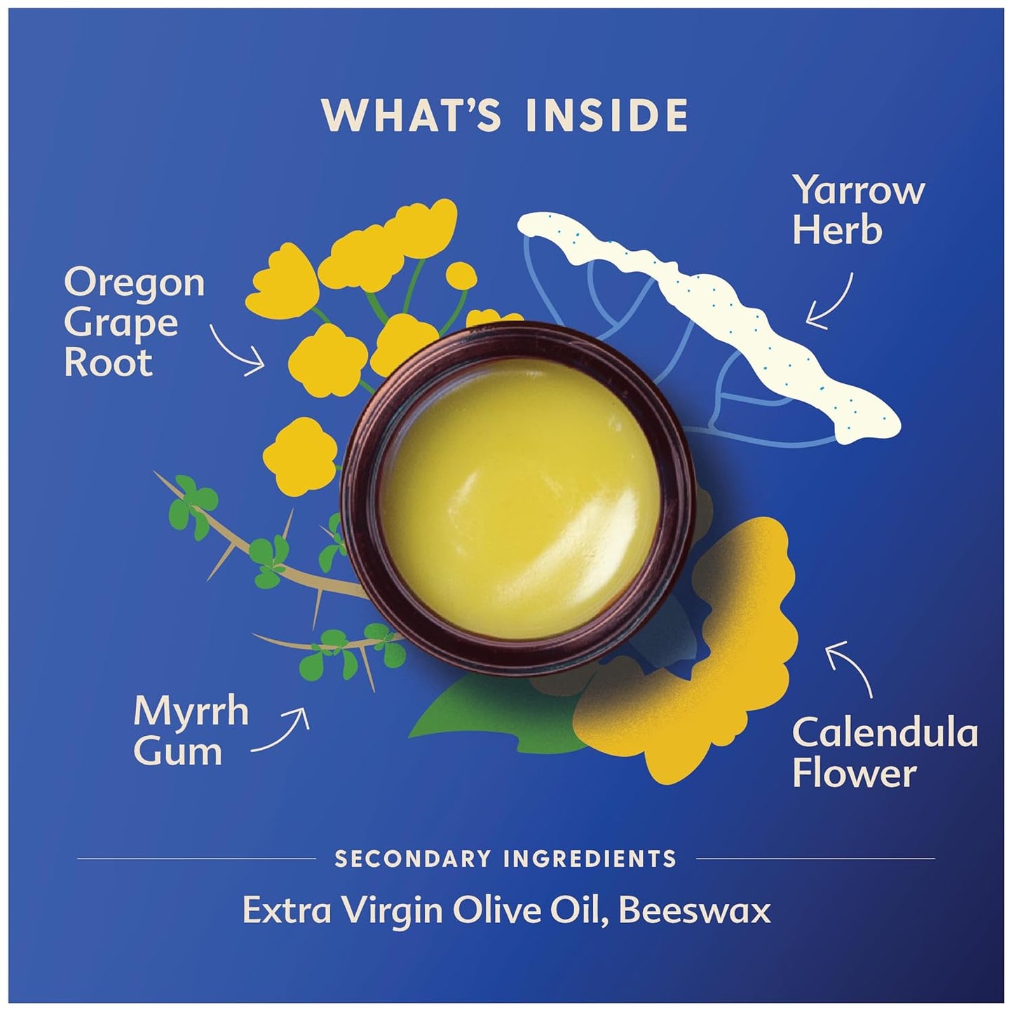 Motherlove Diaper Balm (1 oz) Organic Herbal Diaper Rash Cream—Cloth Safe, Zinc Oxide- Petroleum-Free—Ideal diaper Bag Size