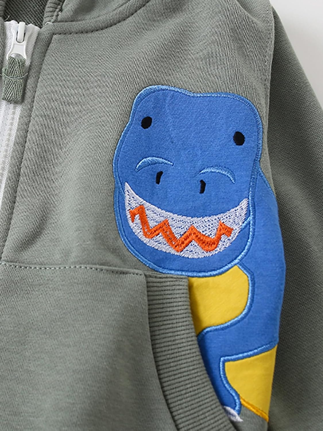 Toddler Boys Full Zip Dinosaur Hoodies Comfortable Sweatshirt