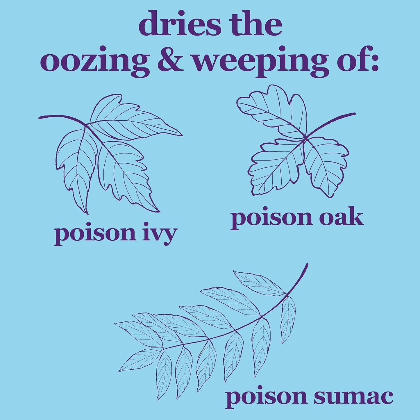 Zinc Oxide 20% Healing Ointment Skin Protectant Barrier 15 Oz Jar Provides Relief and Treatment of Diaper Rash, Chafed Skin, Poison Ivy, Oak, Sumac for Adults and Babies