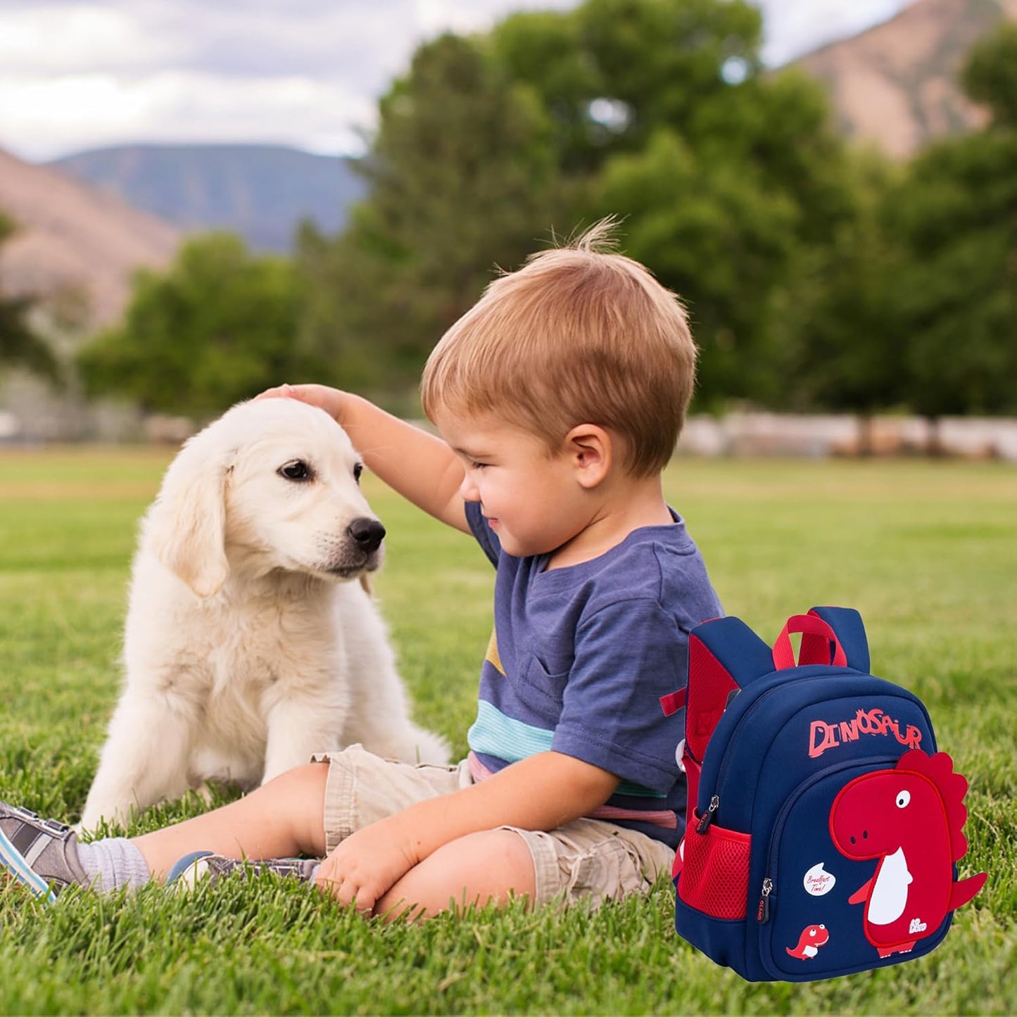 Toddler Dinosaurs Backpack for Boys,Bluey Backpack for Boys,2 Year Old Boy Birthday Gift